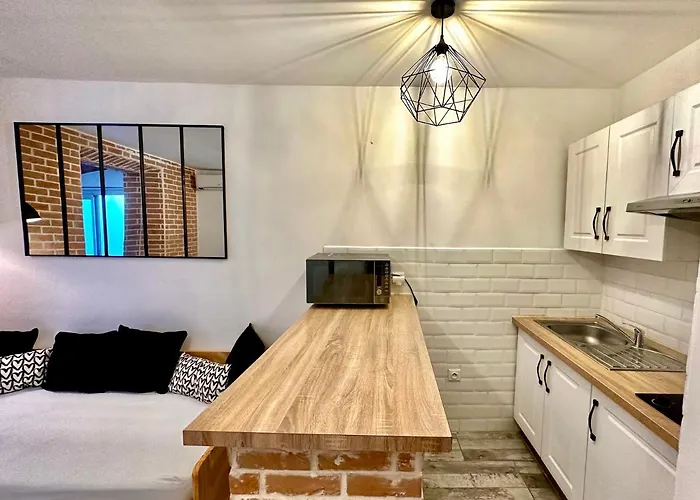 Lion's - 2 Minute Walk From Palais Des Festivals And Beaches * Cannes