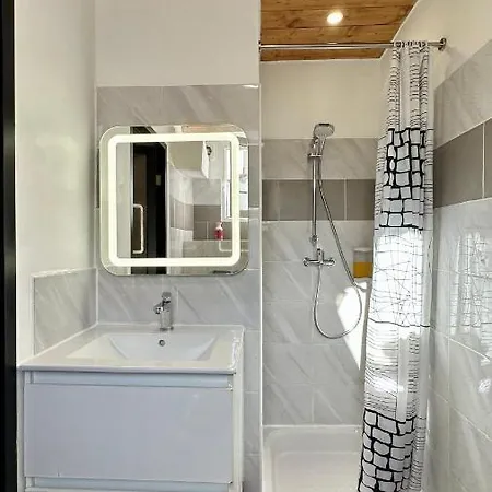 Lion's - 2 Minute Walk From Palais Des Festivals And Beaches דירה